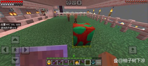 我的世界僵尸怎么驯服