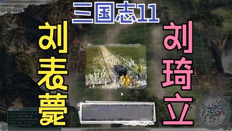 三国志13怎么处死