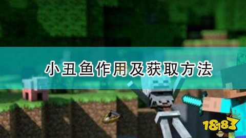 我的世界小丑鱼怎么养