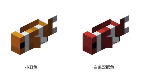 我的世界小丑鱼怎么养[图2]
